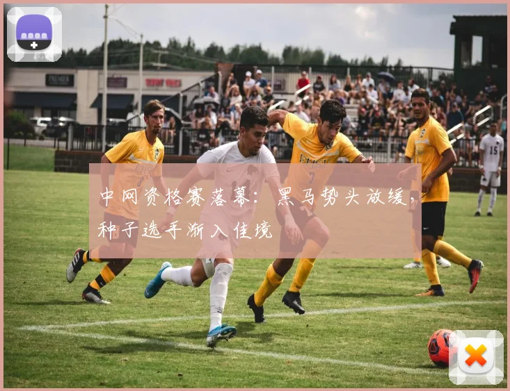 中网资格赛落幕：黑马势头放缓，种子选手渐入佳境